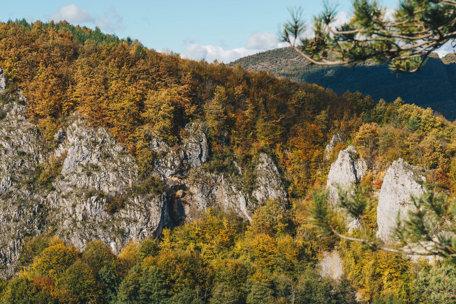 نمونه عکس دوربین سونی a7 III