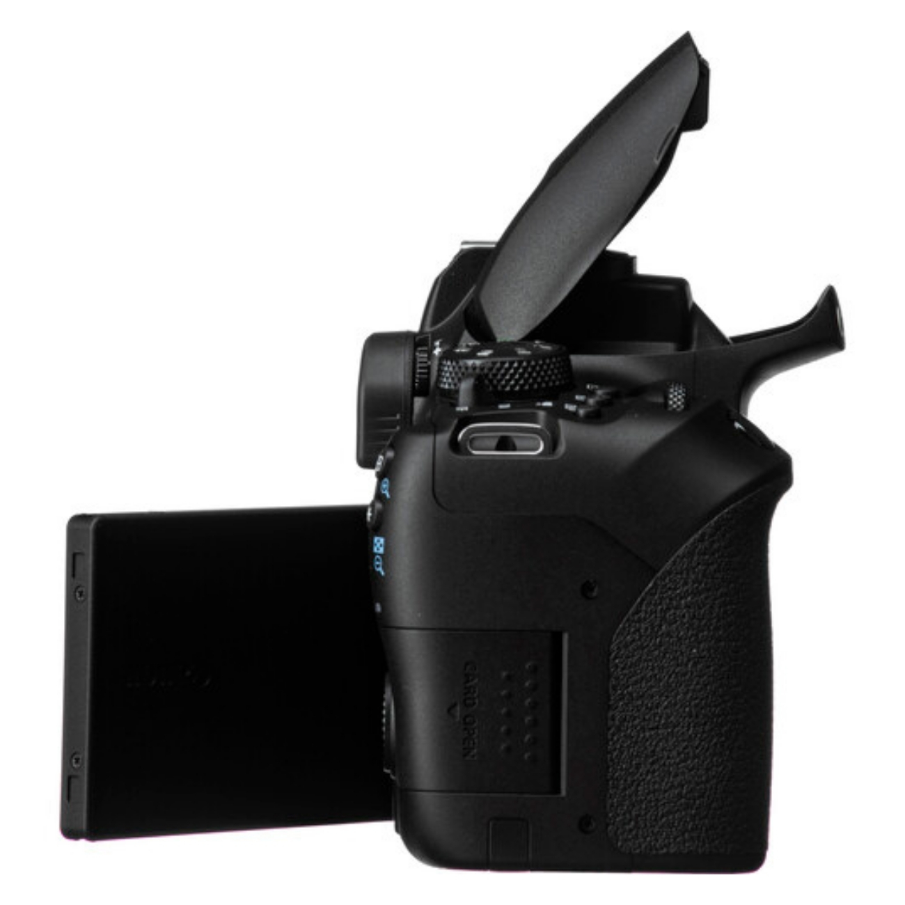 عملکرد Canon EOS 850D در نور کم