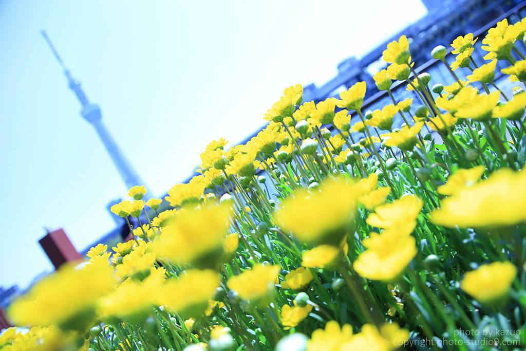 آموزش تکنیک اصلاح وایت بالانس با دوربین کانن Canon