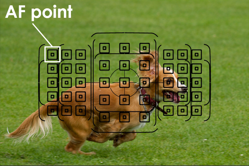 ۶. قصد دارم چه نوع سوژه‌ای عکاسی کنم؟