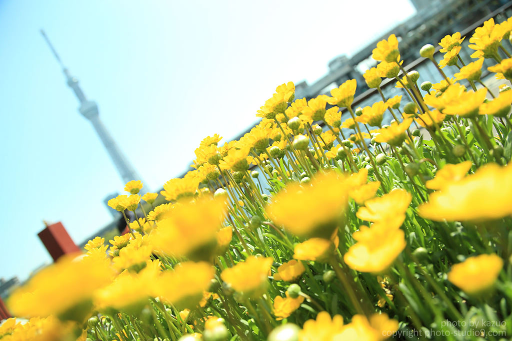 آموزش تکنیک اصلاح وایت بالانس با دوربین کانن Canon