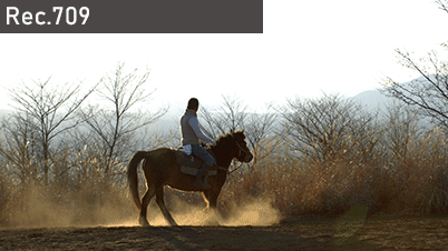 نحوه عملکرد ضبط Log