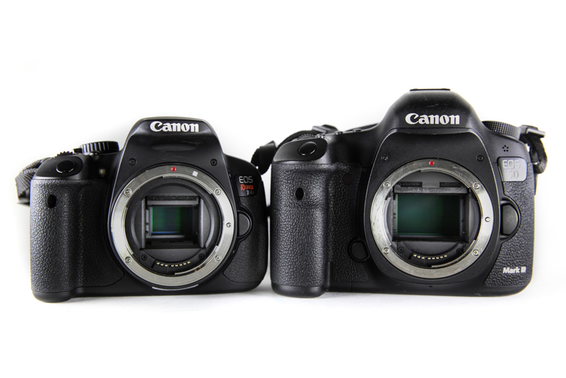 آناتومی دوربین های Digital SLR