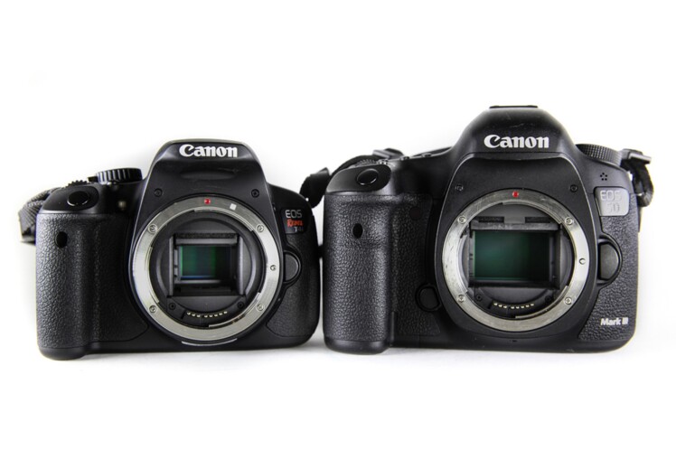 آناتومی دوربین های Digital SLR