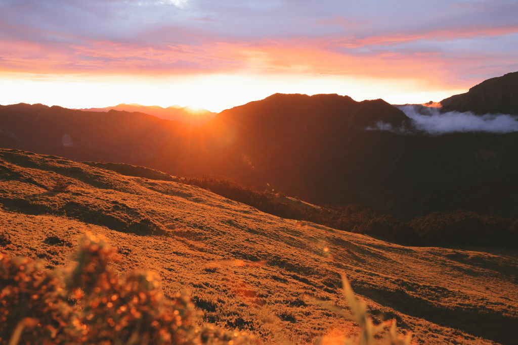 EOS R6 Mark III: قدرت بی نظیر برای عکاسی و فیلمبرداری حرفه ای