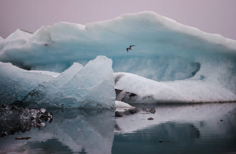 مراقب الگوها باشید