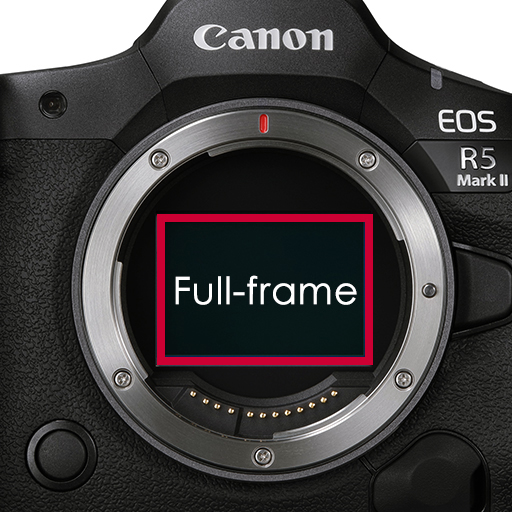 ۲. آیا بهتر است دوربین APS-C بگیرم یا فول‌فریم؟