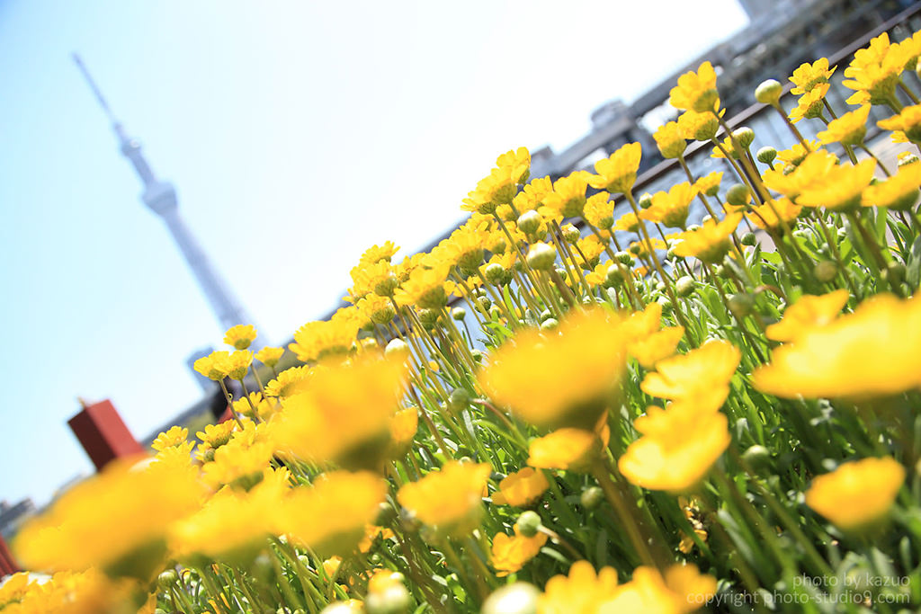 آموزش تکنیک اصلاح وایت بالانس با دوربین کانن Canon