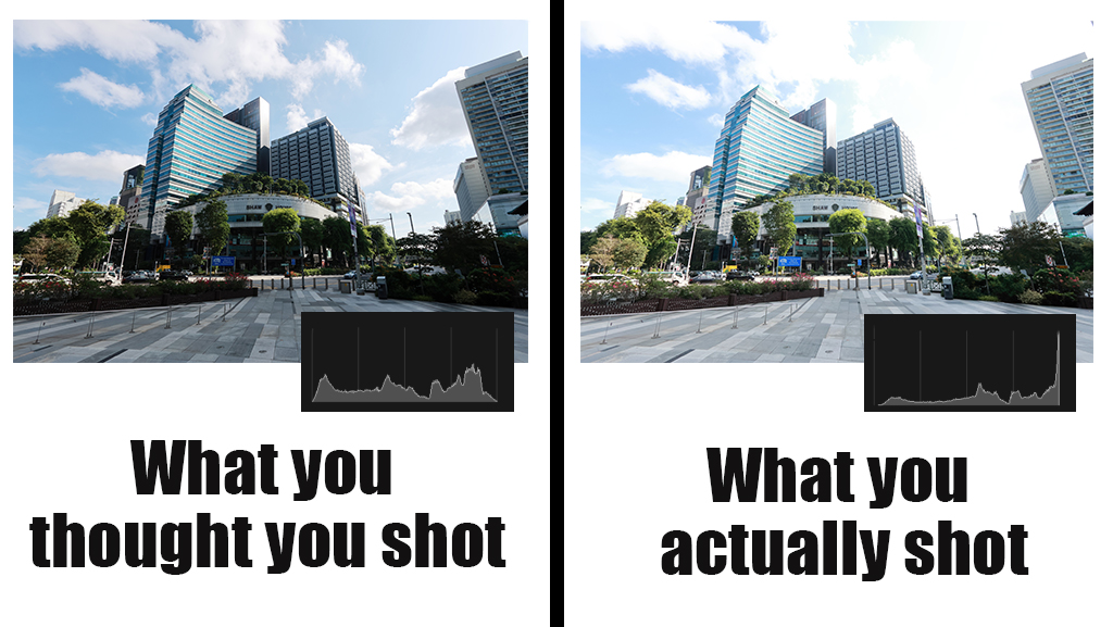 ۲. هیستوگرام (Histogram)