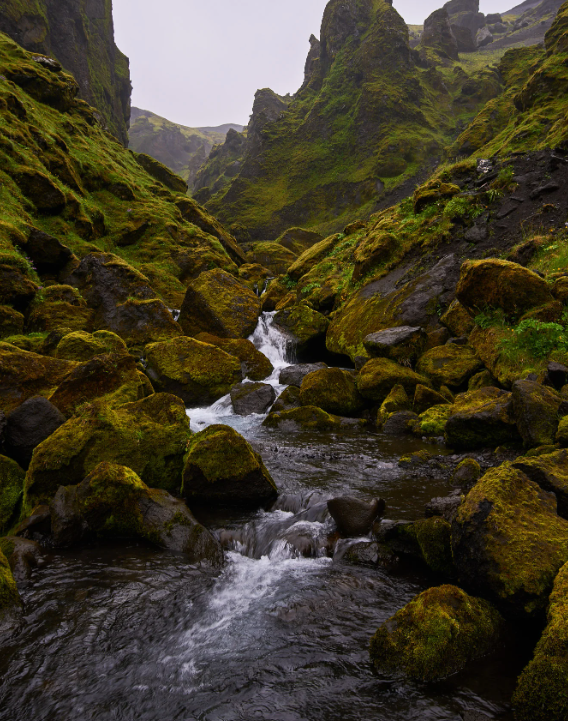 در حرکت بمانید