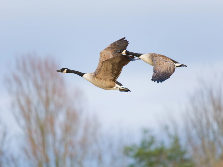 چگونه عمق میدان عکس خود را با دقت کنترل کنیم