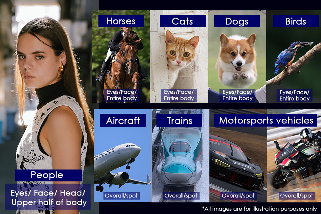 قیمت خرید دوربین کانن canon r6 mark III